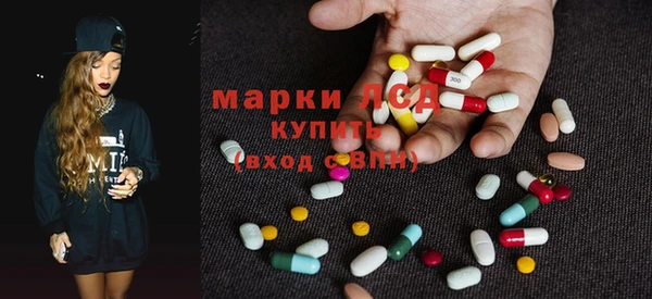 apvp Алексин