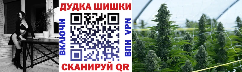 Каннабис сатива  купить   Змеиногорск 